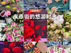 -苏州市皮市街花鸟工艺品市场