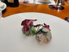 -觀芷隐轩