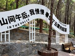 -白佛山景区