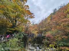 -光雾山旅游景区
