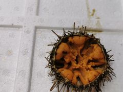 -京深海鲜市场(光彩路店)