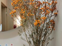 -梅花境(万科店)