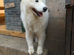 -大冰的小屋
