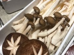 菌菇拼盘-千味涮·健康火锅(会展连城新天地店)