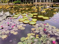 -中国科学院西双版纳热带植物园
