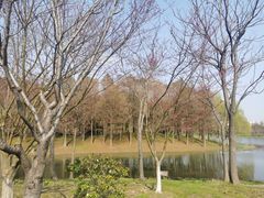 -尚贤河湿地