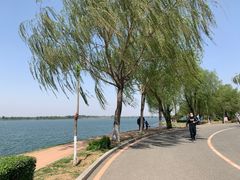 -丁香湖公园