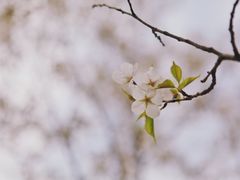 -白塘生态植物园