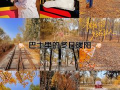-西青郊野公园