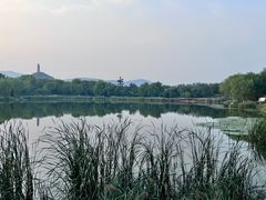 -北坞公园