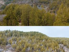 -龙洞风景区-藏龙涧