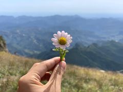 -白草畔自然风景区