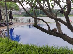 -白云湖畔酒店-湖畔餐厅