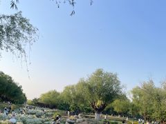 -汉长安城未央宫国家考古遗址公园