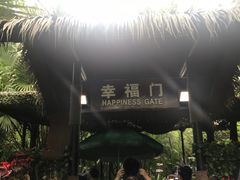 -呀诺达热带雨林