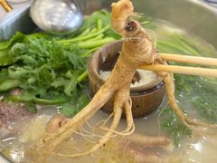 -朴小妹人参鸡汤火锅(长白山万达店)