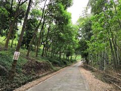 -平湖九龙山旅游度假区