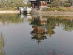 -迎泽公园