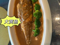 -岚县土豆宴(平阳路店)