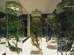 -北京中医药大学-中医药博物馆