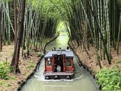 -同里国家湿地公园