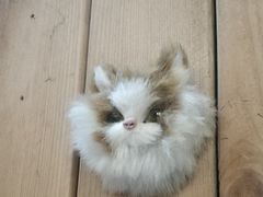 -猫色咖啡·猫咖