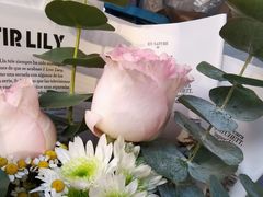 -循礼门鲜花花市(武汉循礼门店)