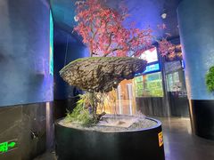 -1718海鲜姿造(苏宁宴请臻选店)