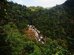 -海南热带雨林国家公园吊罗山景区