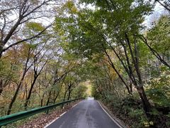 -三块石国家森林公园
