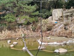 -宁波野生动物园
