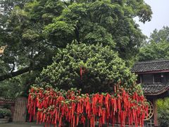 -峨眉山报国寺