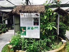 -世界昆虫与自然奇观博物馆