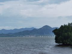 -深圳湾公园(南山区)