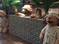 -济州岛泰迪熊博物馆