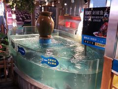 -坛宗剁椒鱼头(河西王府井店)