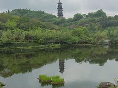 -重庆园博园