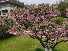 -汉陵苑