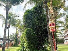 -西双版纳原始森林公园