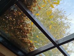 -VOYAGE COFFEE(北锣鼓巷店)