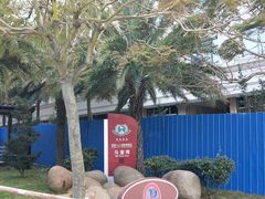 -马銮湾景区