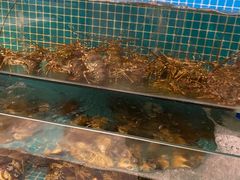 -伊尹活海参馆(衡山路店)