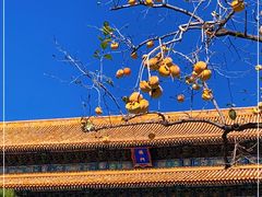 -故宫博物院(故宫)