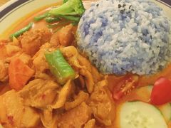 马来咖喱鸡饭-马来MO简餐.南洋风味料理(美食街店)