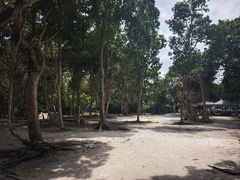 -马达京岛