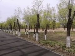 -东郊湿地公园