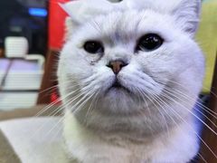 -M.S拳击泰拳馆(大学路店)