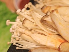 -大派屋(桂林路店)