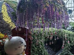 -花之城