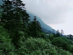 -峨眉山风景名胜区